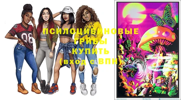 PSILOCYBIN Карпинск