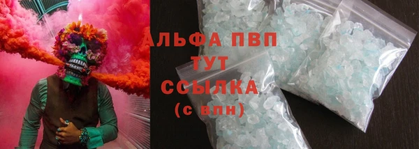 PSILOCYBIN Карпинск