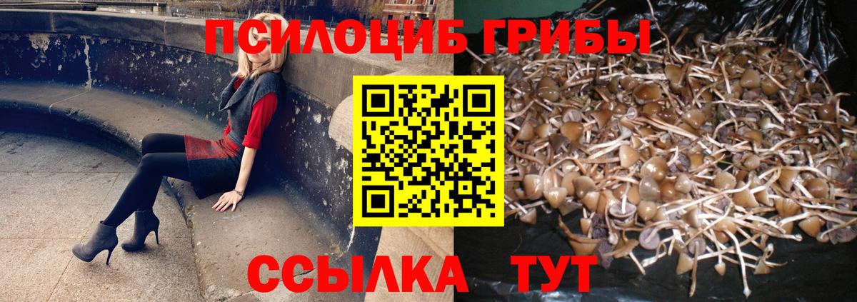 Галлюциногенные грибы ЛСД  Вход с VPN  купить   Галлюциногенные грибы Magic Shrooms  Медногорск 