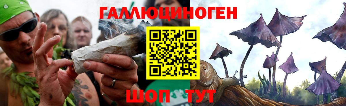 Галлюциногенные грибы Cubensis Медногорск