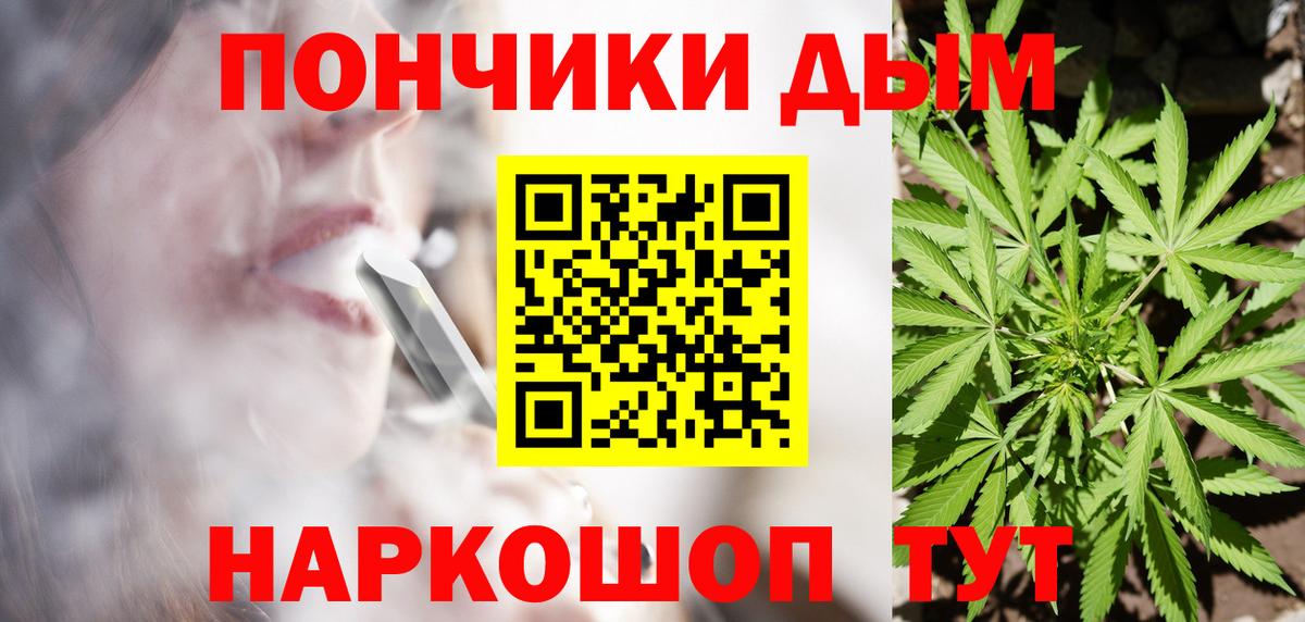 Каннабис сатива Медногорск